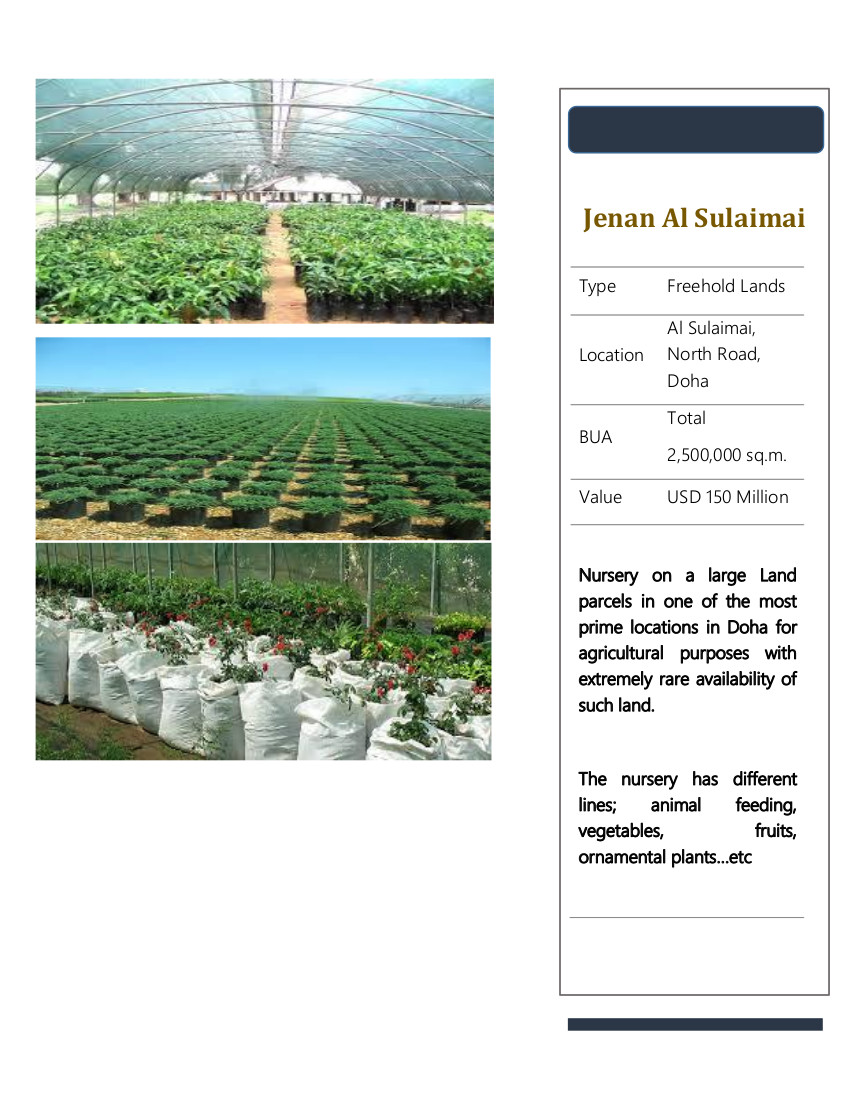 Gulf Projects